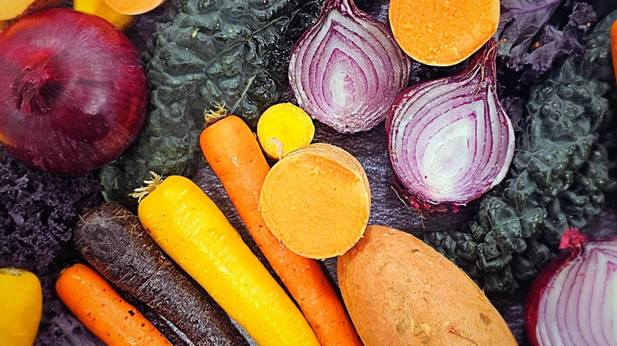 PLC NEW Rainbow Veggies